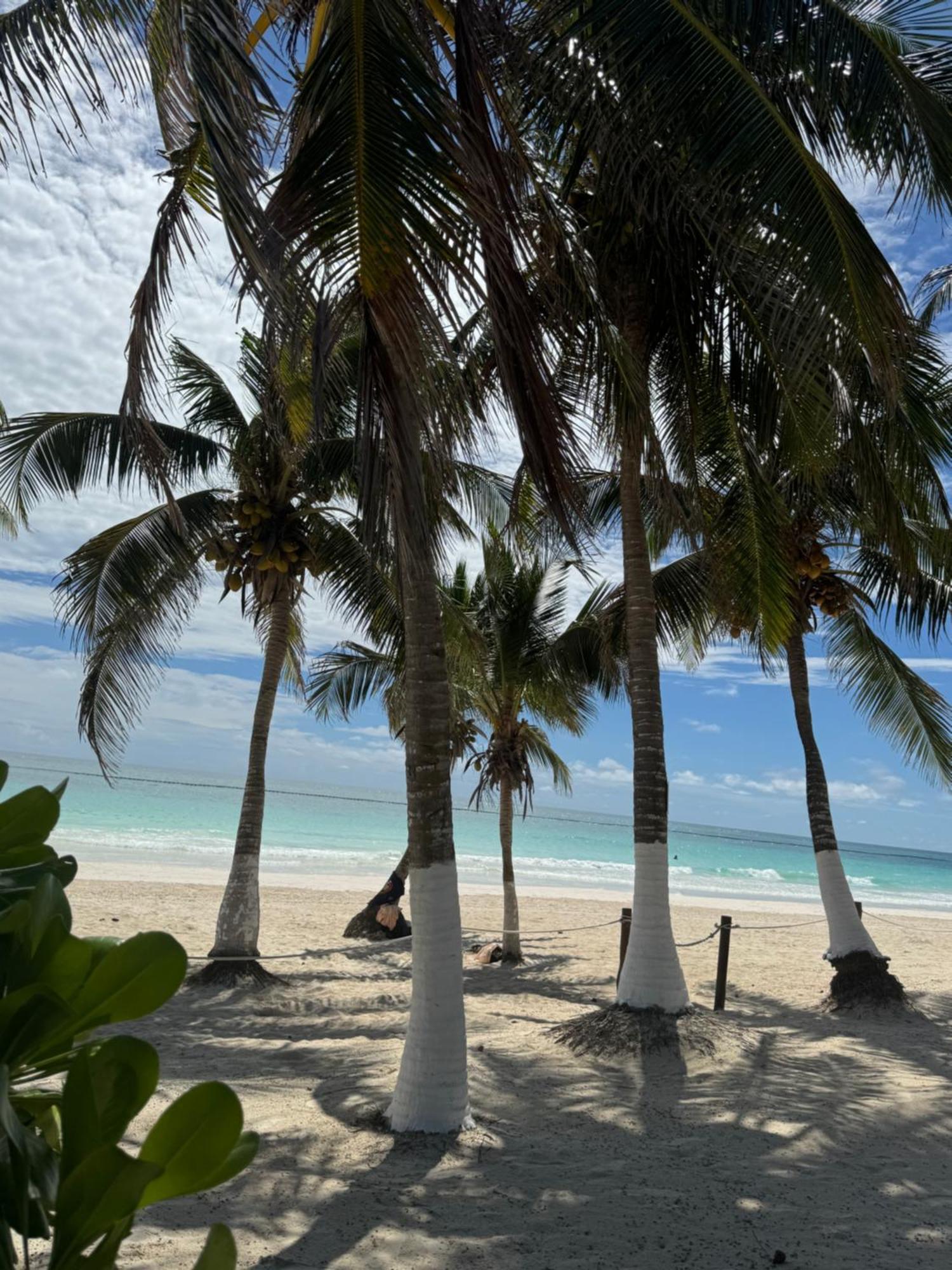 El Paraiso Hotel Tulum Zewnętrze zdjęcie
