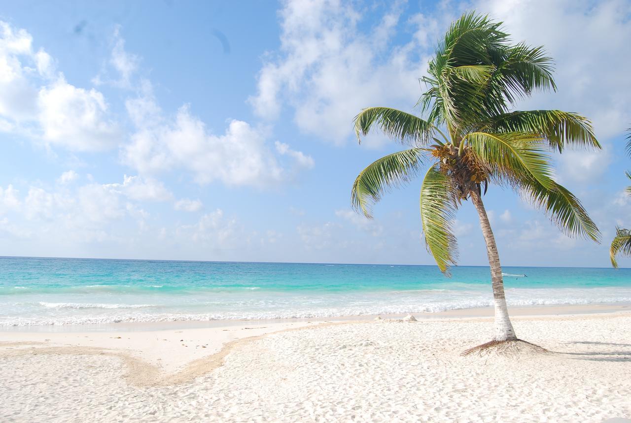 El Paraiso Hotel Tulum Zewnętrze zdjęcie